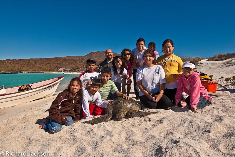 Mision Loreto Properties and SeaTurtle Monitoring