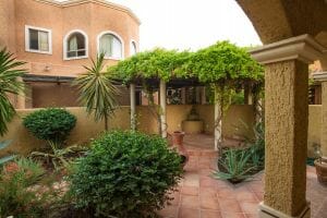 Dream House Near the Sea in Loreto:Back garden