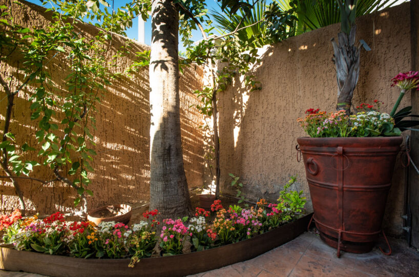Beautiful One Level, 3 Bedroom 2 And A Half Bath Home In Seaside Town Of Loreto, Baja Sur: comfortable backyard garden.